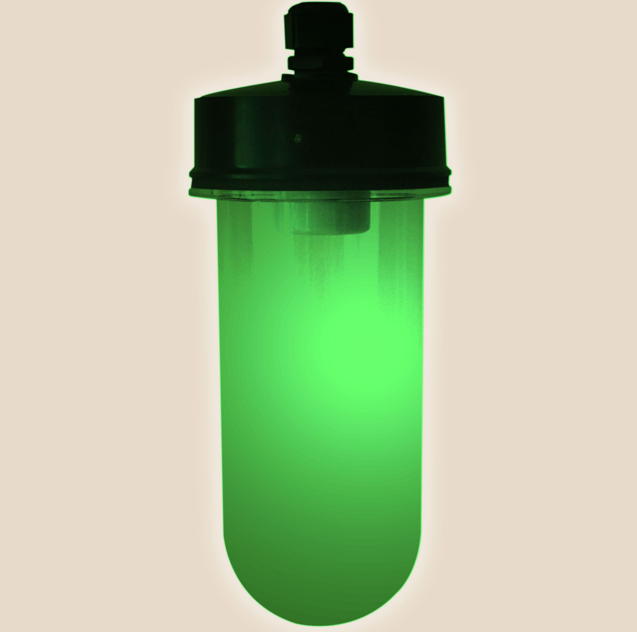 SEEMORELUX™ GREEN lens for pilot lights