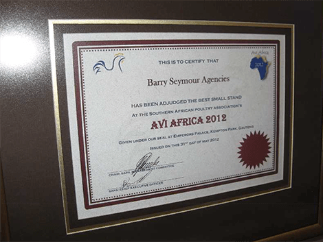 sapa small sand award